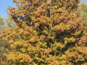 2026管综数学真题