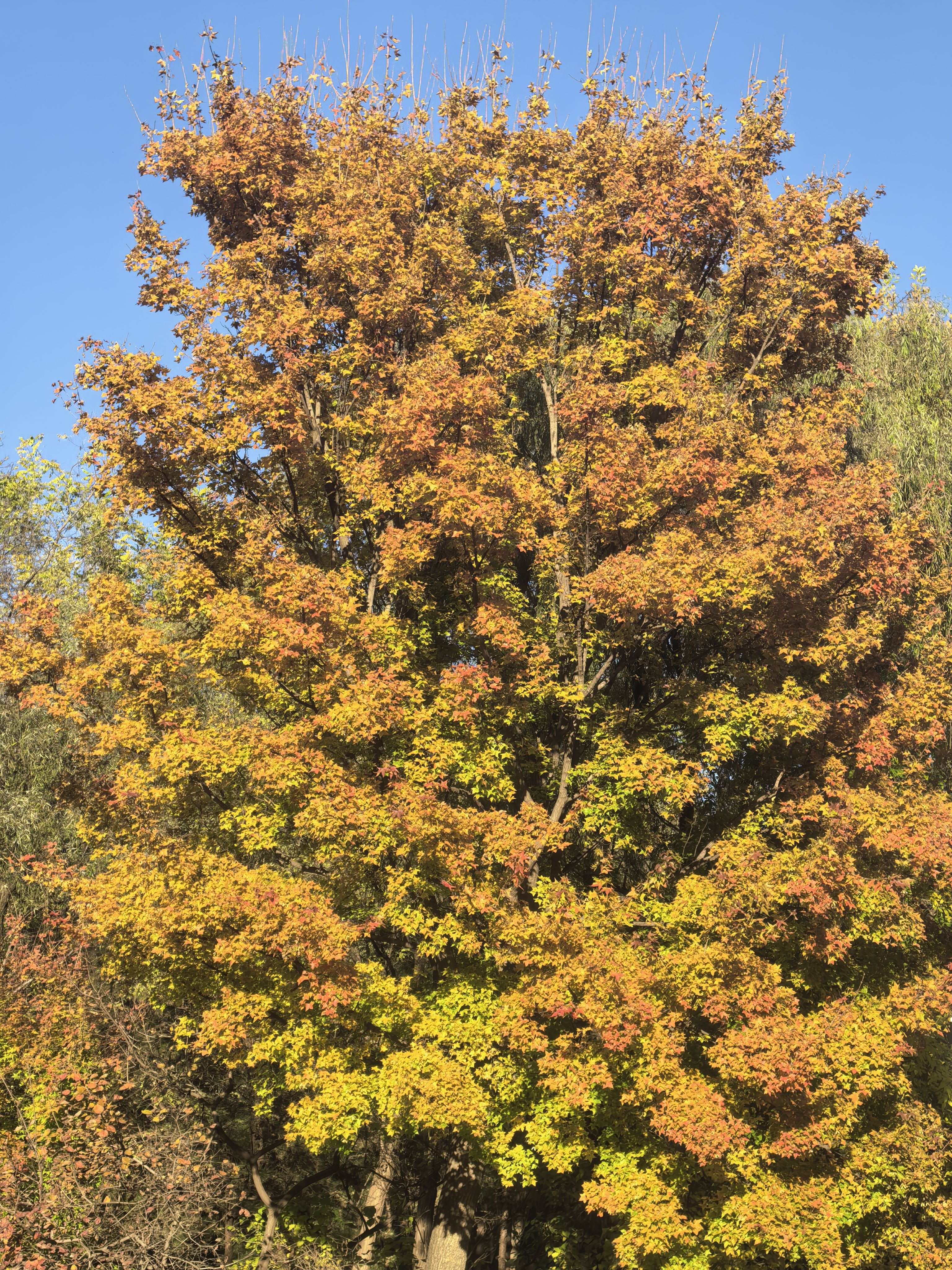 2026管综数学真题